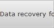 Data recovery for Del City data